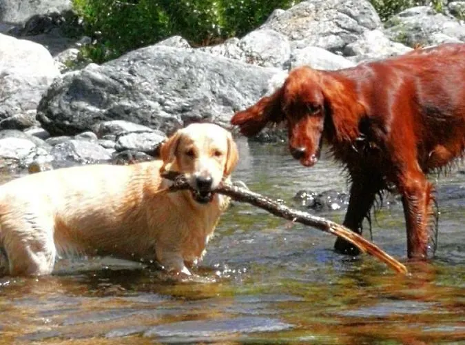 Apartament Chez Christine *
